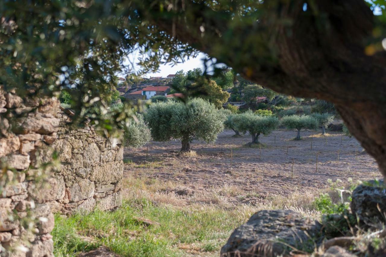Cidadelhe Rupestre Turismo Rural Exterior foto